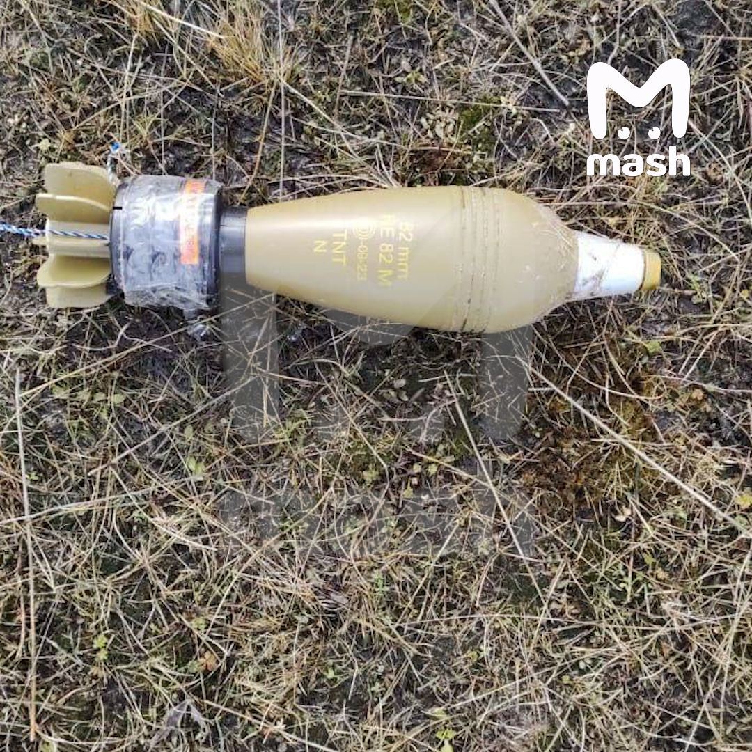 Миниатюра 3
